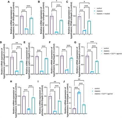 Liraglutide ameliorates diabetic-induced testicular dysfunction in male rats: role of GLP-1/Kiss1/GnRH and TGF-β/Smad signaling pathways